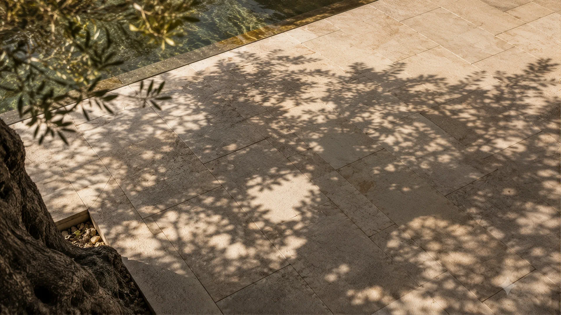 Olive leaf shadows falling across pale stone paving