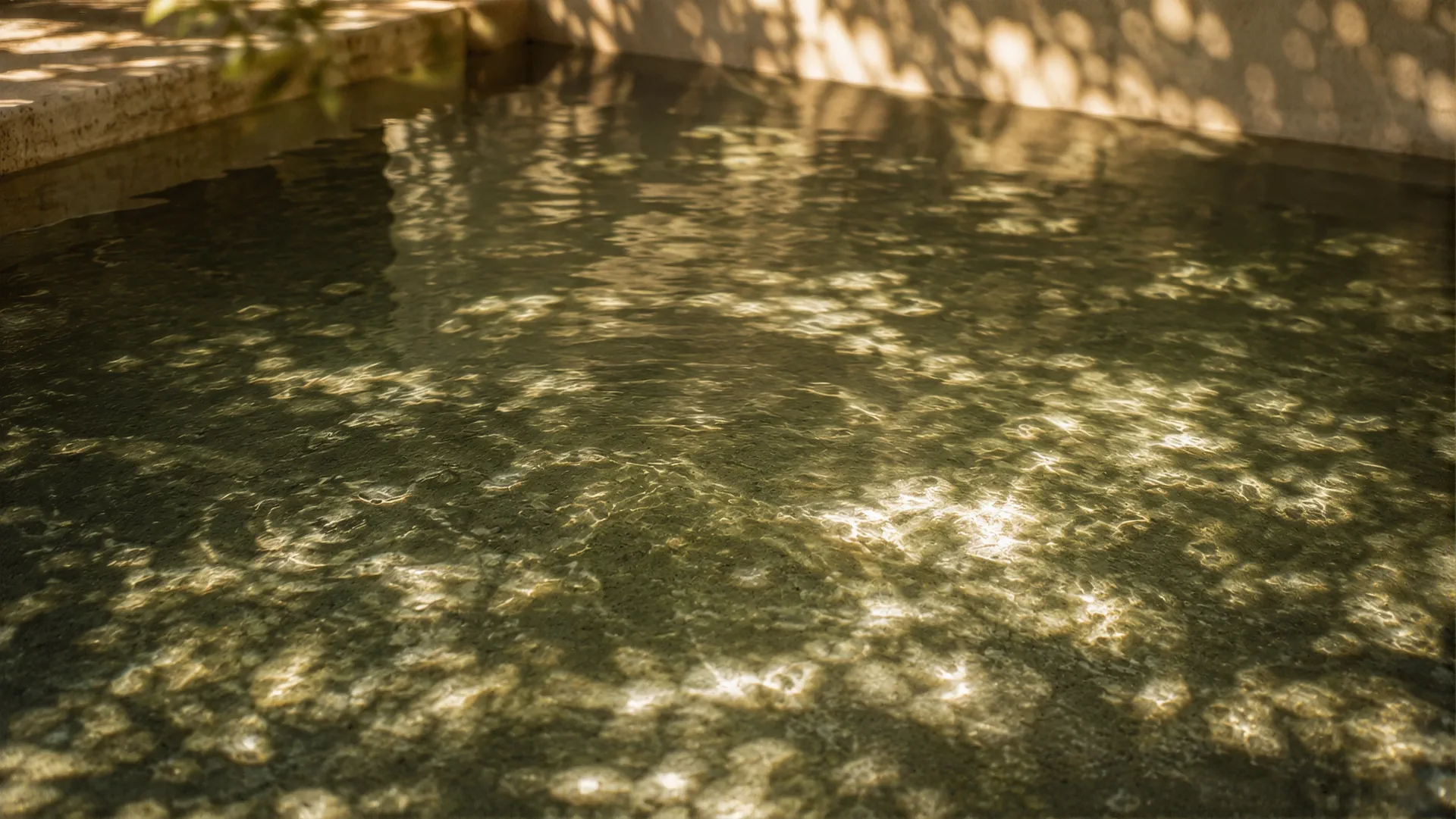 Dappled sunlight moving across the surface of a still stone pool